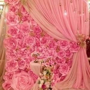 Meet your Posher, Lili